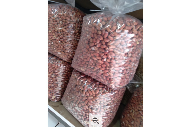 کارگاه بادام زمینی استاد شهریار در پارس آباد اردبیل