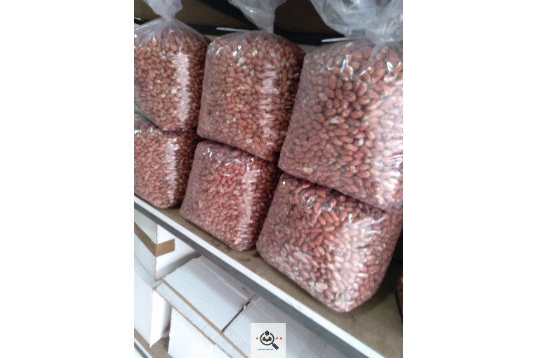 کارگاه بادام زمینی استاد شهریار در پارس آباد اردبیل