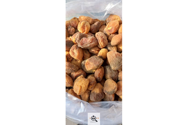 خشکبار کاظمی در اسکو