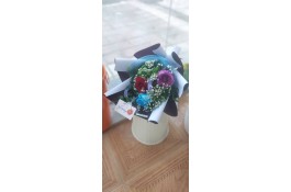 مرکز فروش گل و گیاه نرگس گل در لنگرود