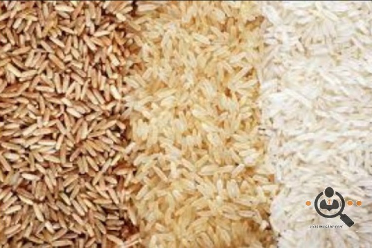 صنایع تبدیل شلتوک به برنج پادنگ طلایی در رشت