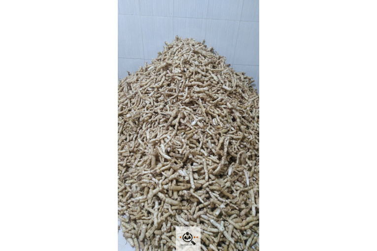 لبنیات و خشکبار شقاقل جلالی در قوچان