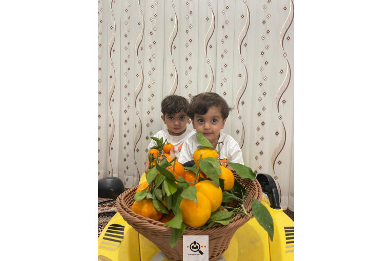 سورتینگ بسته بندی مرکبات کرد در ساری