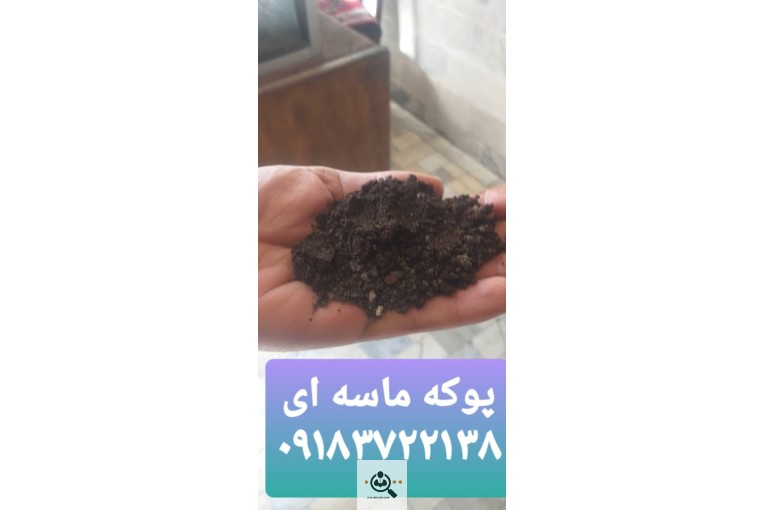 پوکه معدنی نخودی و پفکی در قروه