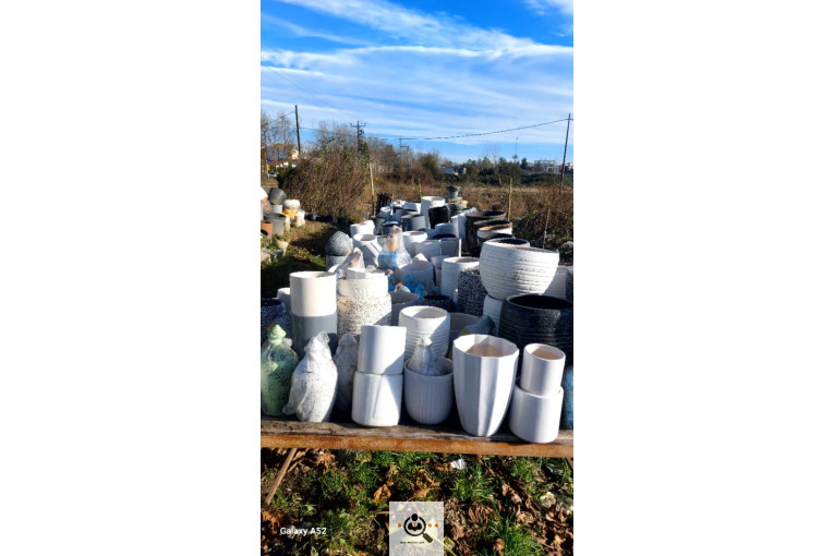 نهالستان بزرگ آرین نهال در رضوانشهر