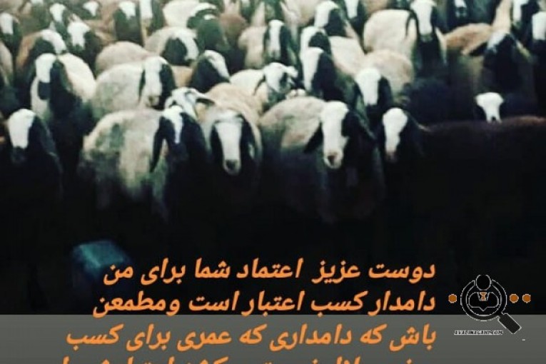دامداری صداقت در قزوین