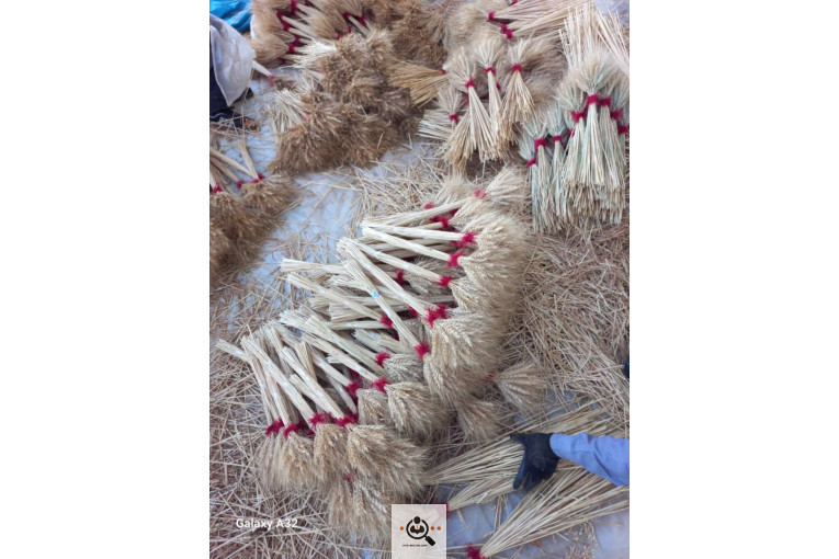 پرورش و پخش ماهی تزئینی قرمز یکتا در رشت