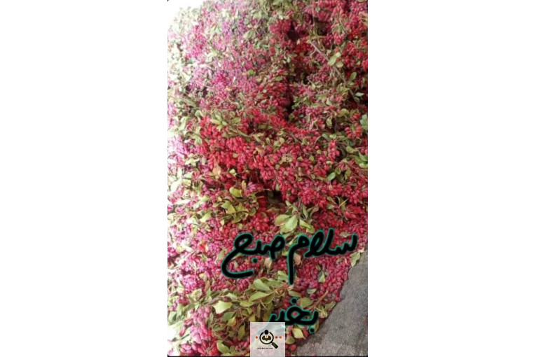 زرشک و زعفران دیرینه