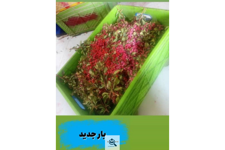 زرشک و زعفران دیرینه