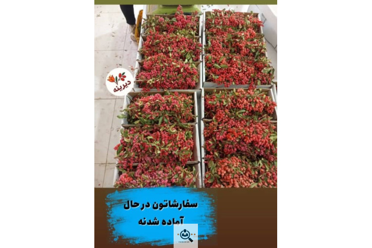 زرشک و زعفران دیرینه