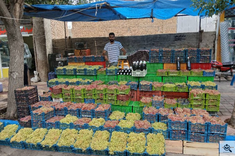 کشمش مهرداد رحمنی تات در کرج
