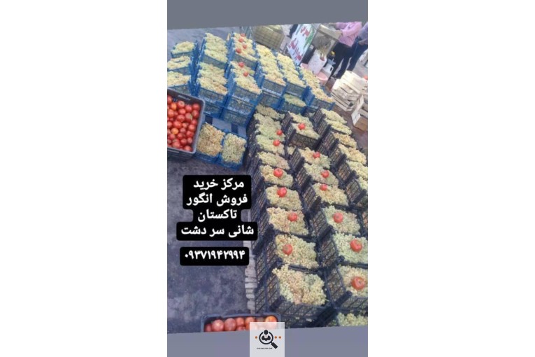 کشمش مهرداد رحمنی تات در کرج
