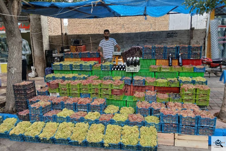 کشمش مهرداد رحمنی تات در کرج
