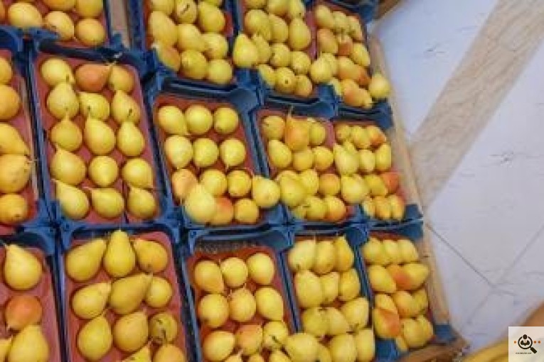 میوه فروشی معرفت در نجف آباد
