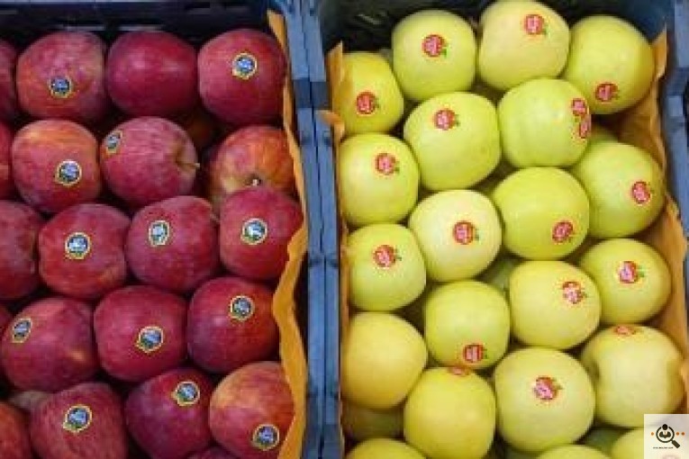 میوه فروشی معرفت در نجف آباد