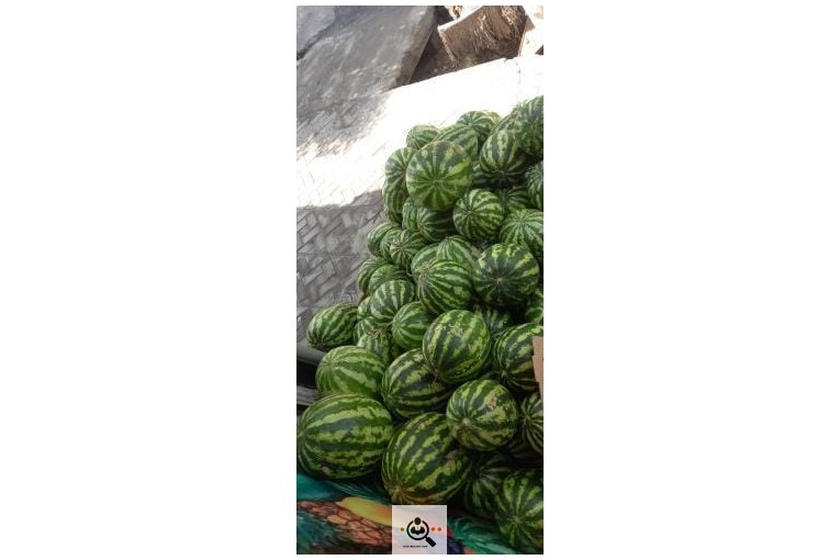 میوه فروشی معرفت در نجف آباد