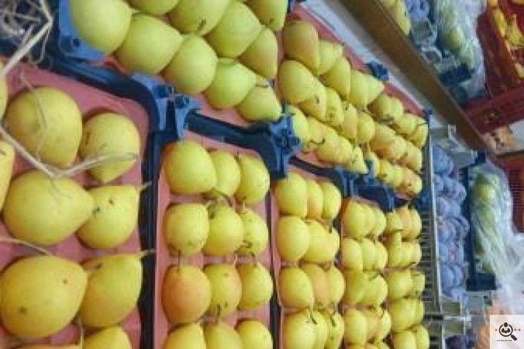 میوه فروشی معرفت در نجف آباد