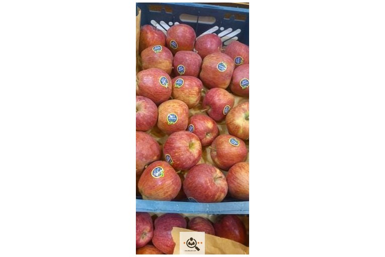 میوه فروشی معرفت در نجف آباد