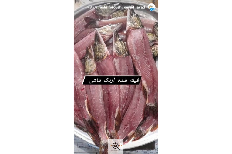 خرید و فروش ماهی سید جواد در بندرانزلی