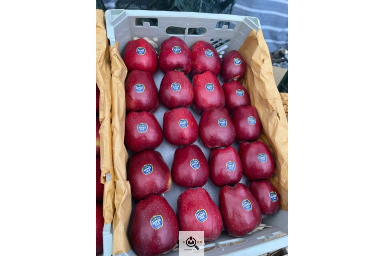 صادرات و واردات موز و سیب و انواع محصولات کشاورزی آقازاده در میاندوآب