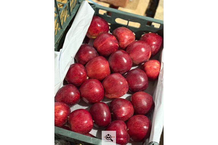 صادرات و واردات موز و سیب و انواع محصولات کشاورزی آقازاده در میاندوآب