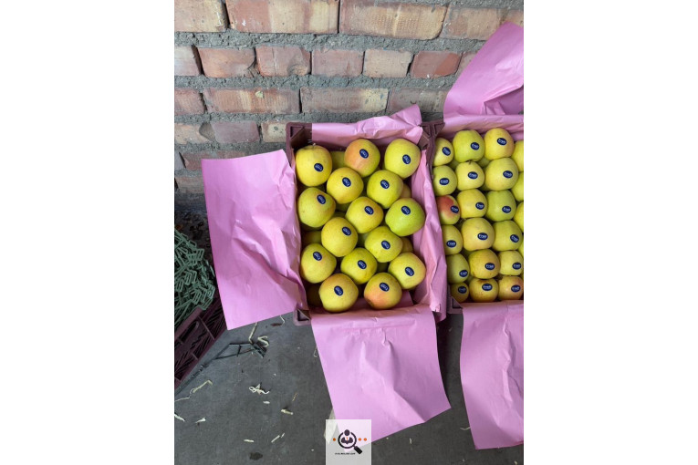 صادرات و واردات موز و سیب و انواع محصولات کشاورزی آقازاده در میاندوآب