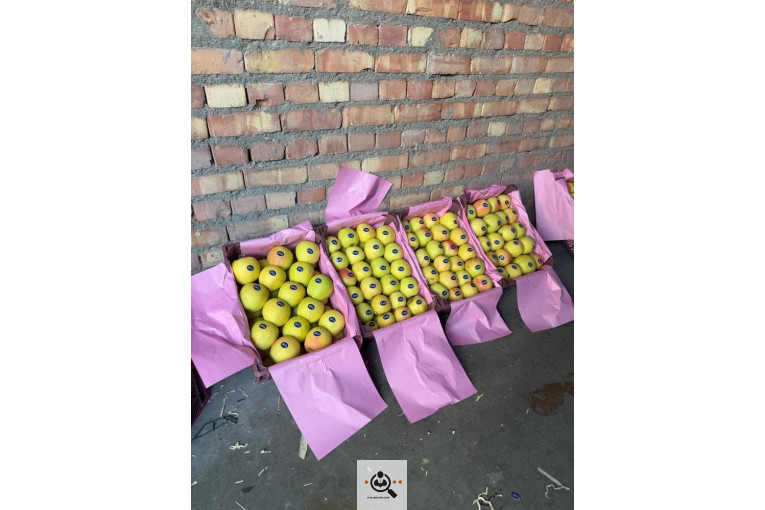 صادرات و واردات موز و سیب و انواع محصولات کشاورزی آقازاده در میاندوآب