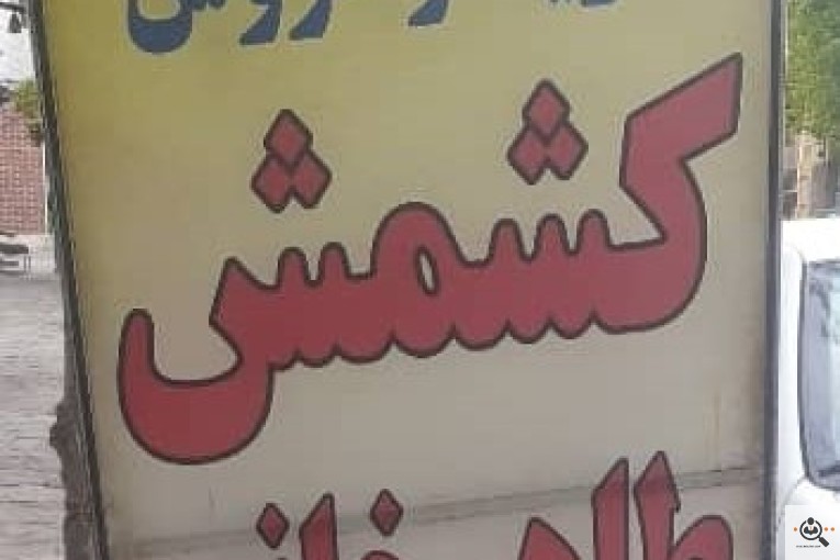 کشمش طاهرخانی در تاکستان قزوین