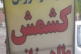 کشمش طاهرخانی در تاکستان قزوین