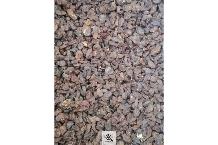 فروشگاه دنياي كشمش در شيراز