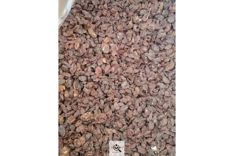 فروشگاه دنياي كشمش در شيراز