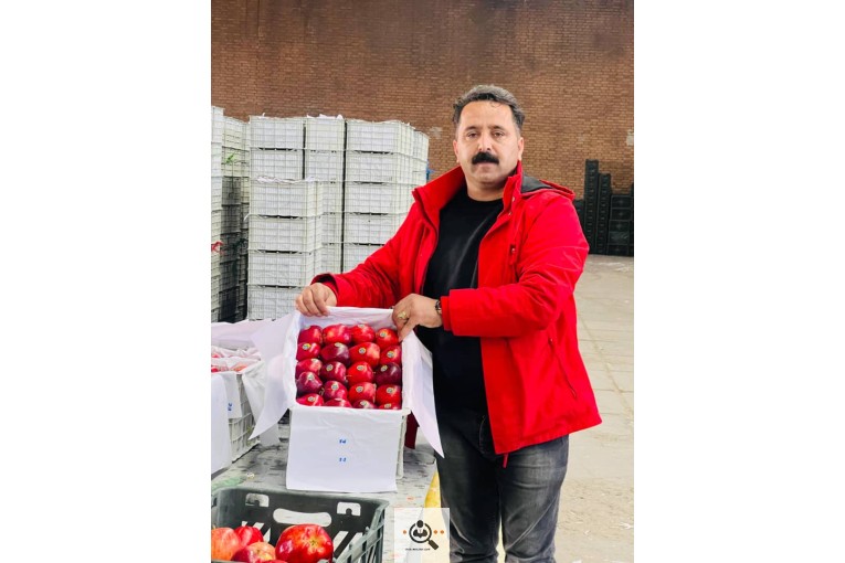 سورتینگ و بسته بندی برادران مردان در اشنویه