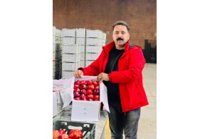 سورتینگ و بسته بندی برادران مردان در اشنویه
