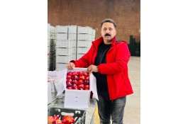 سورتینگ و بسته بندی برادران مردان در اشنویه