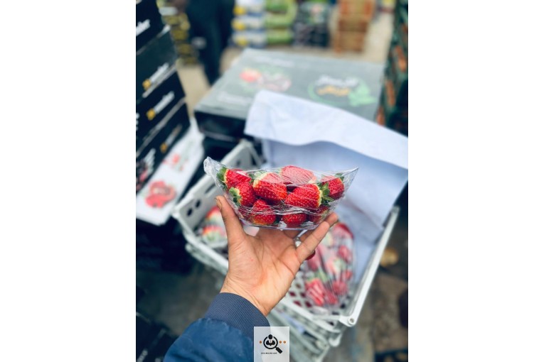 بار و امانت فروشی برادران پودینه در زابل