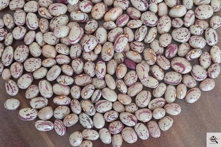 خرید و فروش حبوبات و خشکبار محسن در اراک