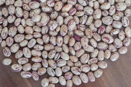 خرید و فروش حبوبات و خشکبار محسن در اراک