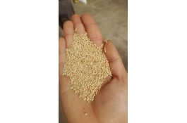 بوجاری دانه عبدالهی در قم