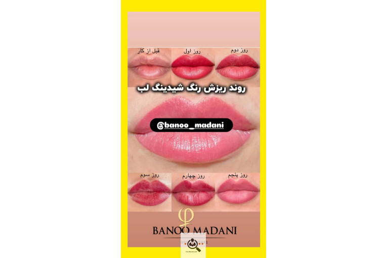 خدمات میکروبلیدینگ ماه بانو مدنی در تهران