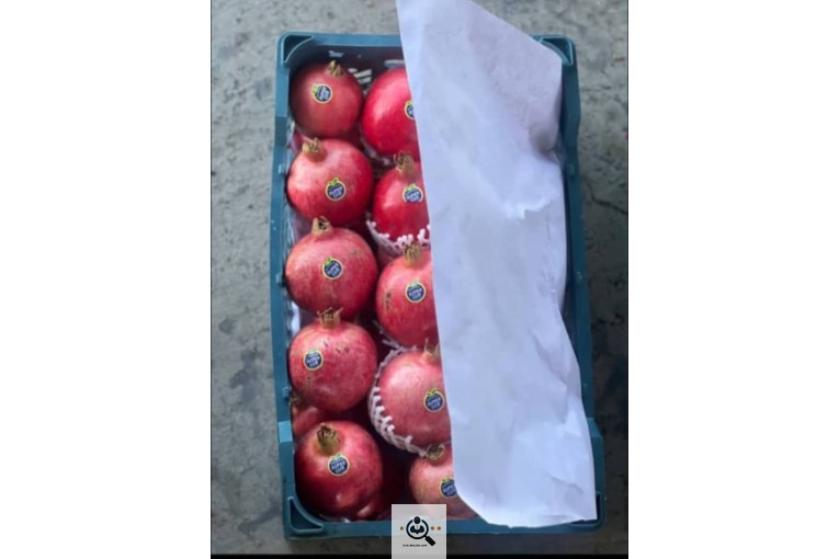محصولات کشاورزی و انگور و انار شجاعی در کاشمر