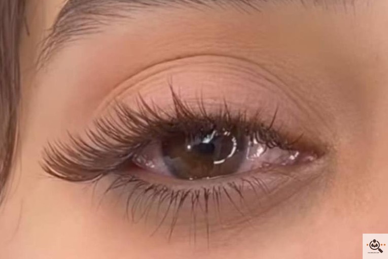 آموزش اکستنشن مژه و میکروبلیدینگ الهه در شیراز