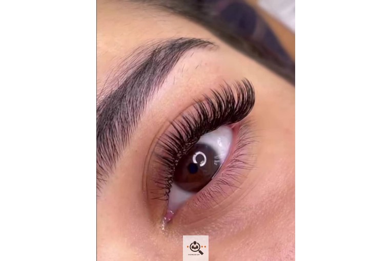 آموزش اکستنشن مژه و میکروبلیدینگ الهه در شیراز