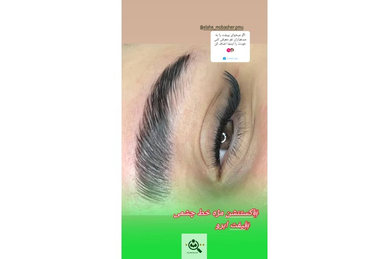 آموزش اکستنشن مژه و میکروبلیدینگ الهه در شیراز