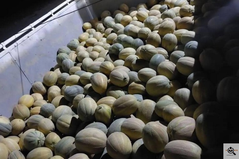 صادرات میوه تره بار حسینی در کرج