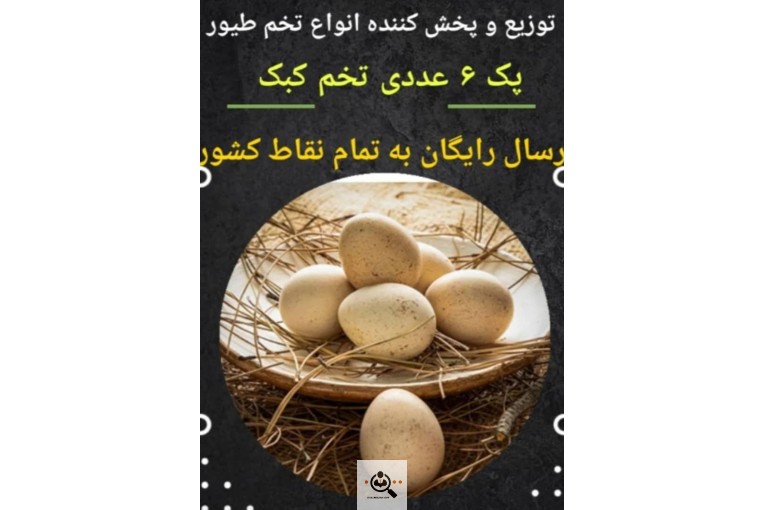 عمده فروشی تخم مرغ و ترشیجات بیگی در اصفهان