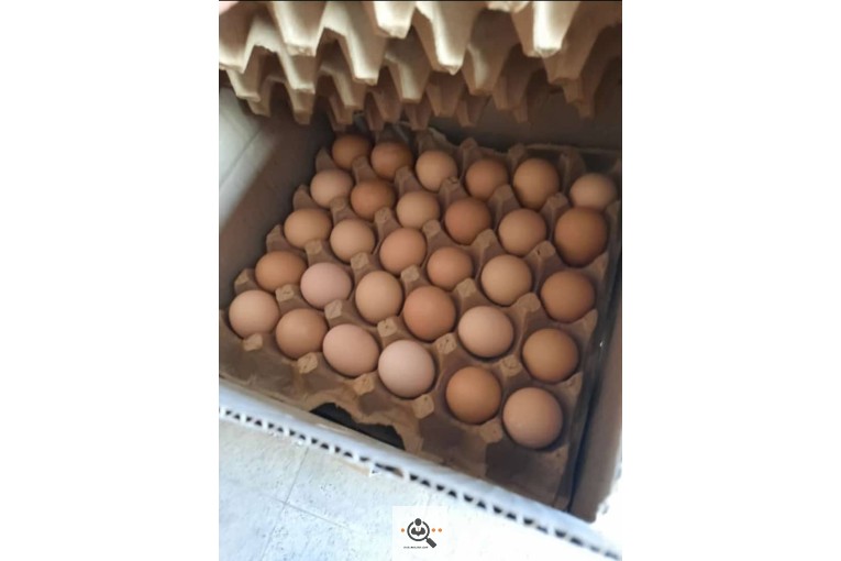 عمده فروشی تخم مرغ و ترشیجات بیگی در اصفهان