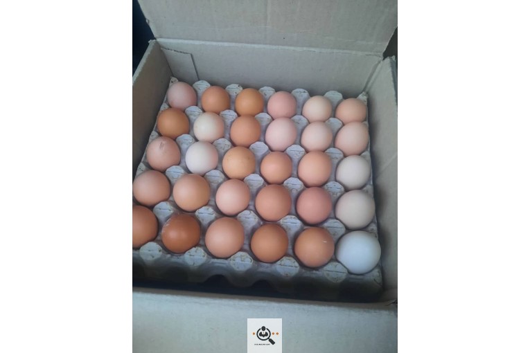 عمده فروشی تخم مرغ و ترشیجات بیگی در اصفهان