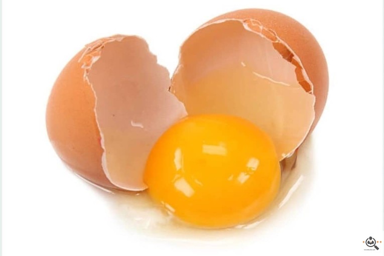 عمده فروشی تخم مرغ و ترشیجات بیگی در اصفهان