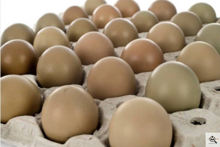 عمده فروشی تخم مرغ و ترشیجات بیگی در اصفهان