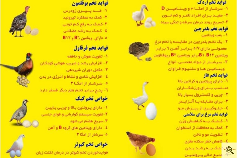 عمده فروشی تخم مرغ و ترشیجات بیگی در اصفهان